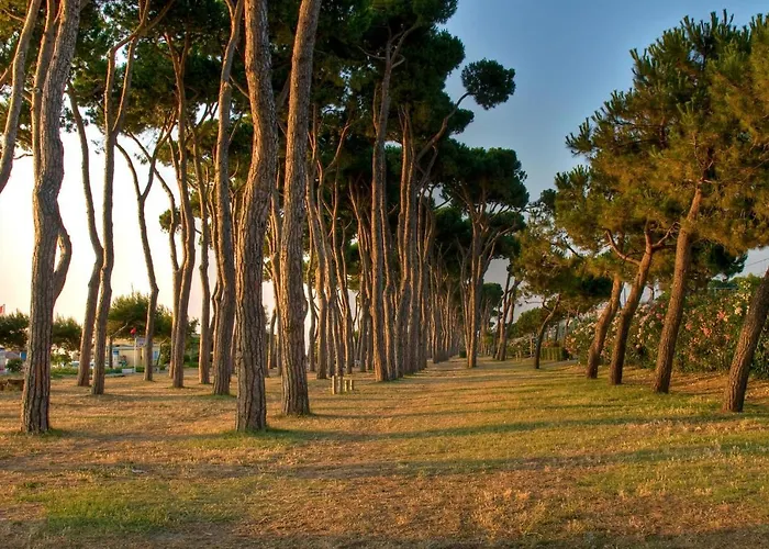 Green Bay Village アパートホテル